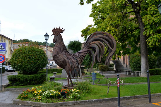 Imposanter Hahn in Gaiole