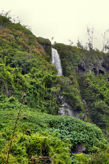 Einer der zahlreichen Wasserfälle an der Anse des Cascades