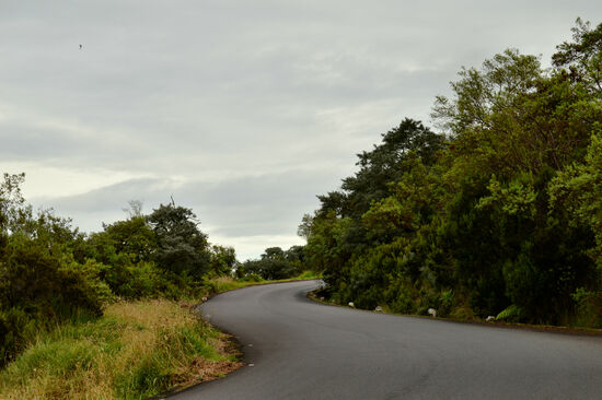 Route du Volcan