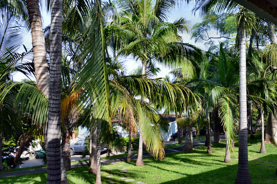 Morgens in der Anlage der "Cases Couleurs"