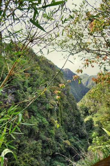 Eine typische Landschaft der Westküste