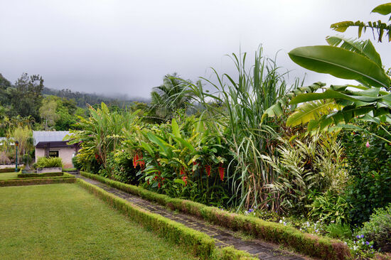Im Konservatorium von Colimaçons