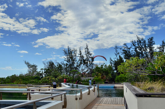 Schildkröten-Station Kélonia