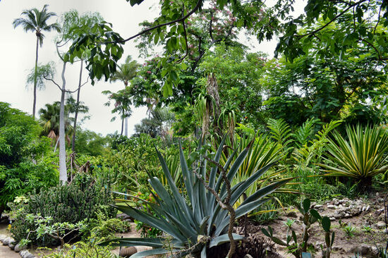 Gezähmte Natur im Jardin d'Eden