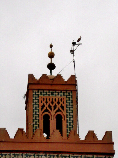 Kasbah-Moschee samt Storch