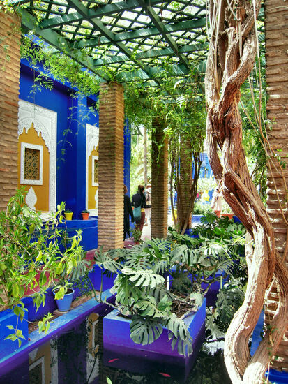 Am Blauen Haus im Jardin Majorelle