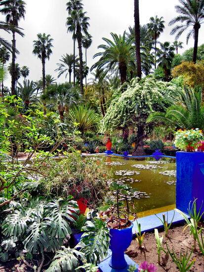 Im Jardin Majorelle