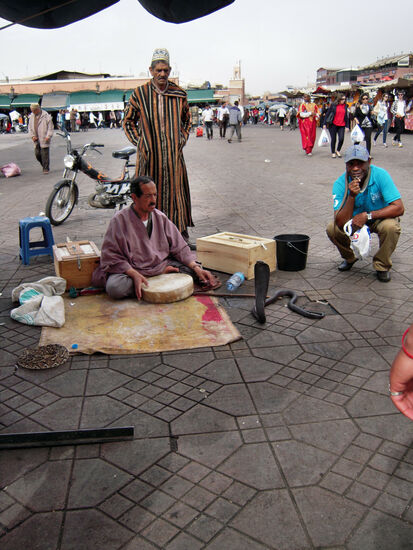 Schlangenbeschwörer auf der Place Djemaa el-Fna