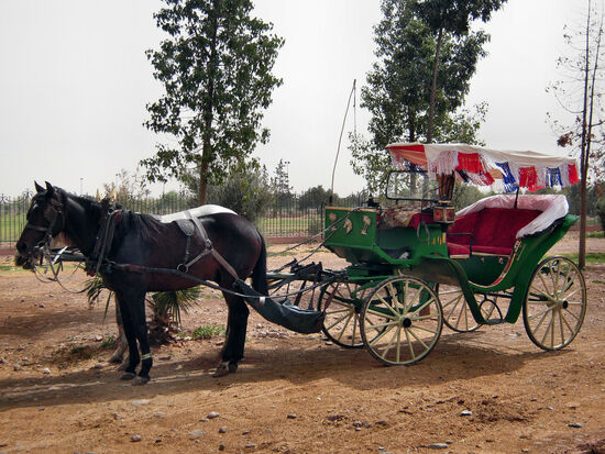 Unsere Kutsche hat brav gewartet...