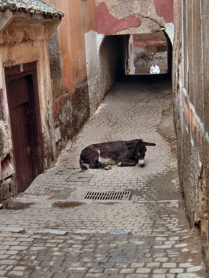 Im jüdischen Viertel Mellah
