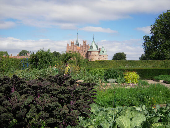 Im Nutzgarten des Schlosses Egeskov