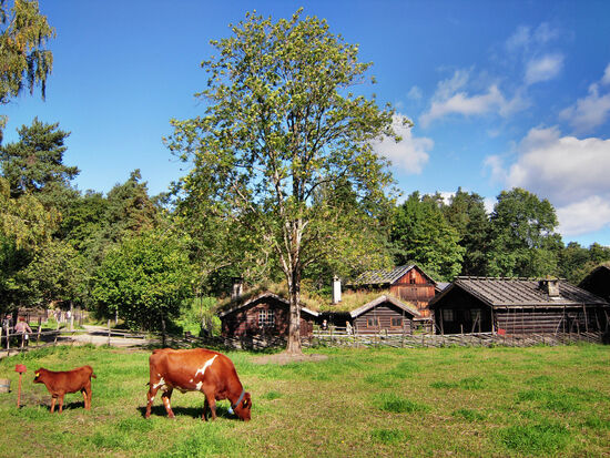 Im Freilichtmuseum des Norwegischen Volksmuseums