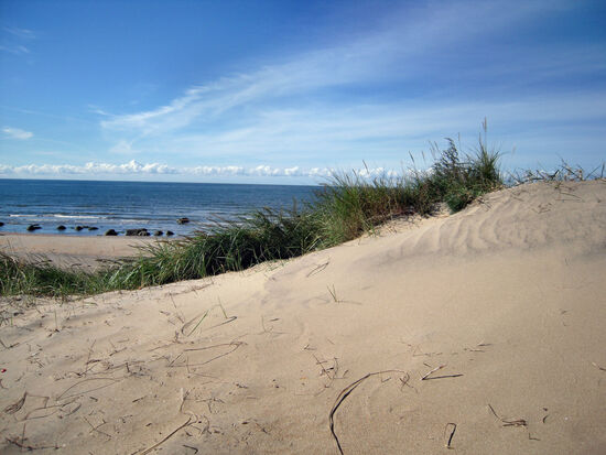 Am Strand bei Falkenberg