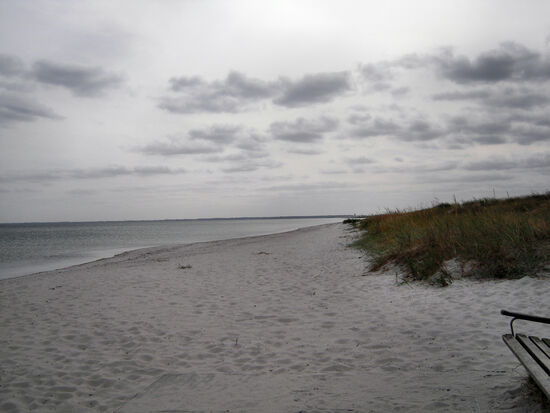 Am Strand bei Køge in Dänemark