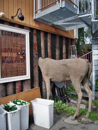 "Elch in der Wand" an der Rückwand eines Restaurants in Lillehammer