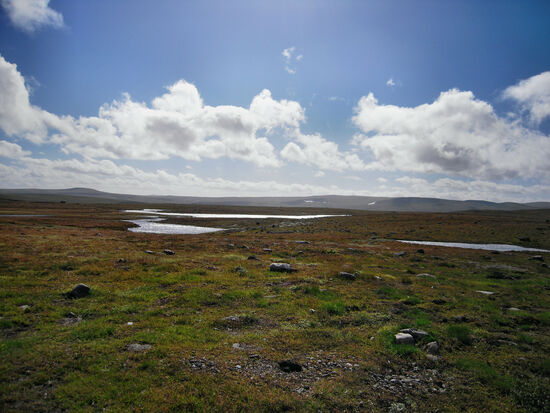 Blick über die Hardangervidda
