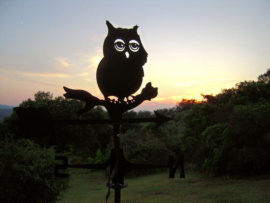 Der letzte Sonnenuntergang am "Ort der Eulen"