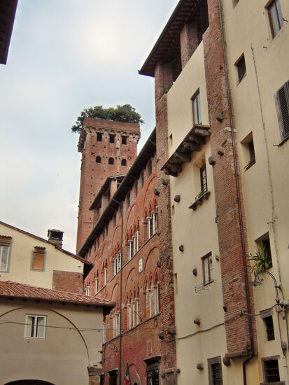 Blick zur Torre Guinigi, dem Wahrzeichen von Lucca