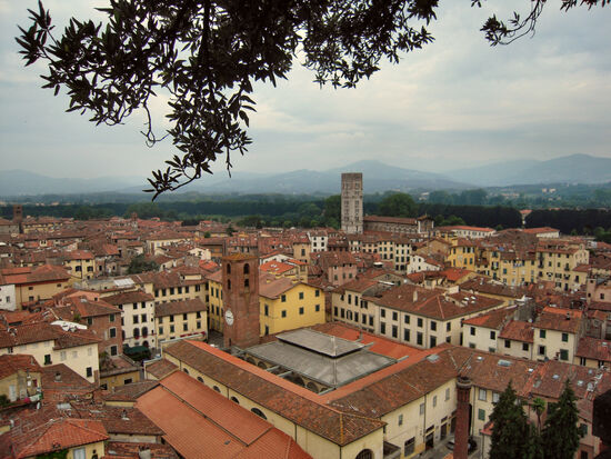 Blick über die Altstadt von Lucca von der Torre Guinigi