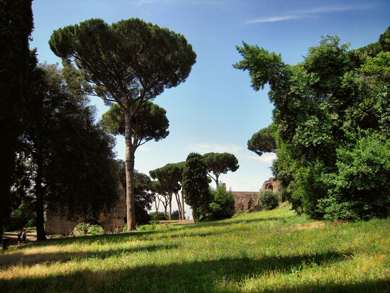 Auf dem Palatin in Rom