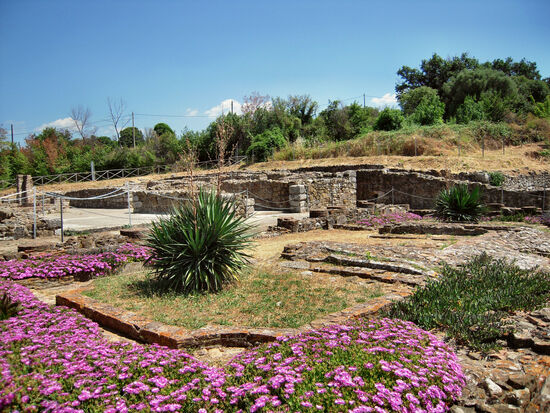 Teil der Ausgrabungen von Roselle