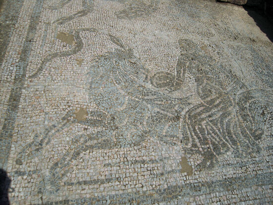 Bodenmosaik in Roselle