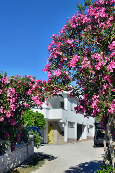 Bunt gerahmte Zufahrt zu Šimes Haus