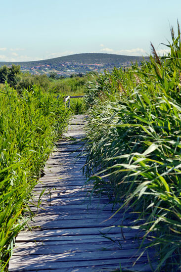 Im Vogelschutzgebiet am Vraner See
