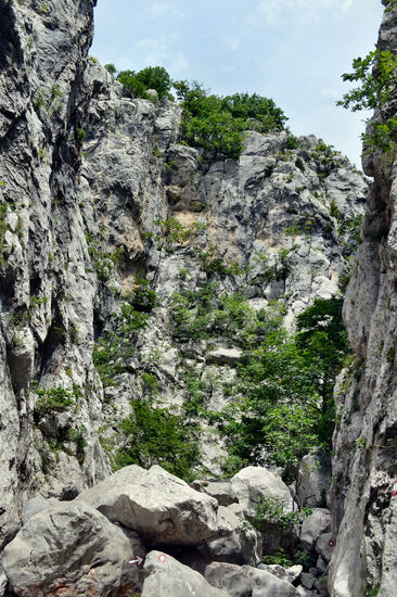 Auch wenn es nicht so aussieht - da geht der Weg durch...