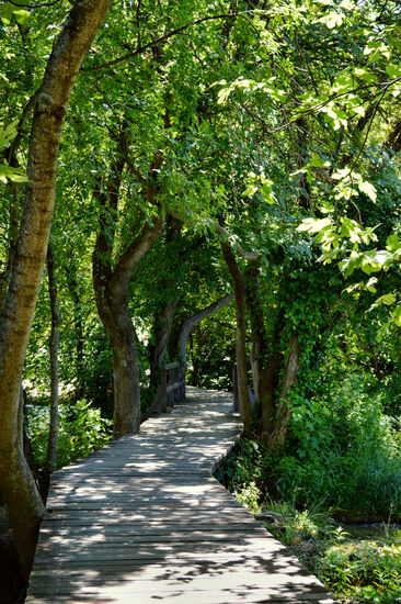 Plankenweg im Nationalpark Krka
