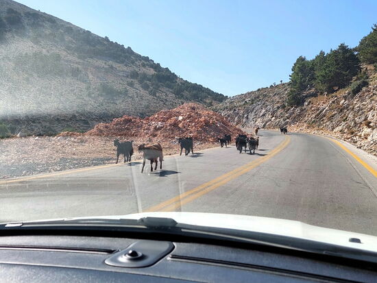 Verkehrshindernis à la Kreta