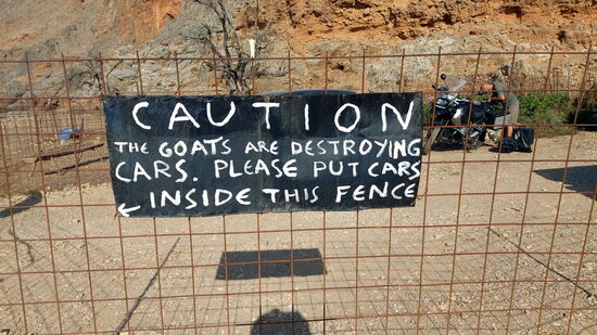 Woanders werden die Ziegen eingesperrt - hier müssen die Autos hinter den Zaun...