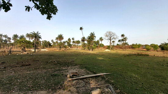 Landschaft zwischen Brikama und Soma