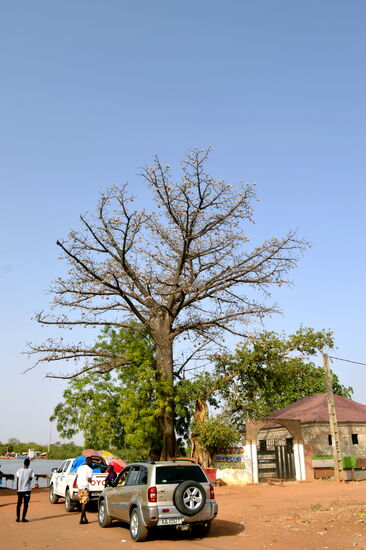 An der Fähre in Janjanbureh