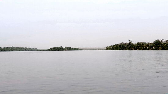 Morgens auf dem Gambia River