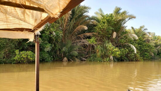 Ufer des Gambia River