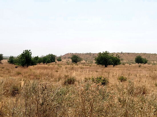 Irgendwo zwischen Wassu und Farafenni