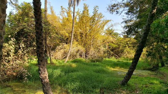 Abuko Nature Reserve