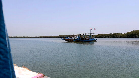 Unterwegs in den Mangroven