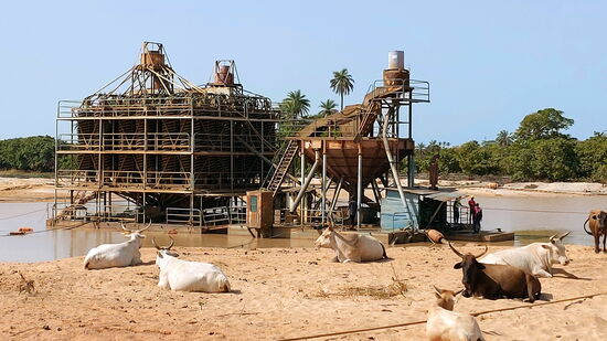 Sandbagger in Sanyang