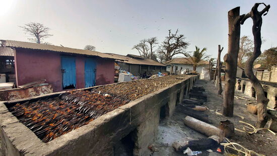 Fischräucherei in Tanji