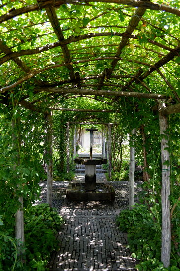 Im Garten der Burg von Angera