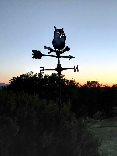 Diese Eule kennen wir seit fast 11 Jahren...