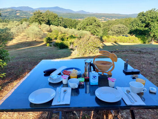 Frühstück mit Aussicht