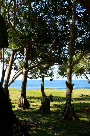 An der Küste in Saint-Benoît