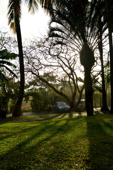 Regen und Sonnenschein im Paradies