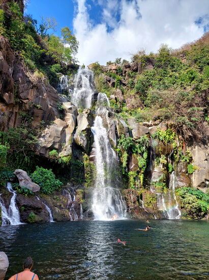 Bassin des Aigrettes