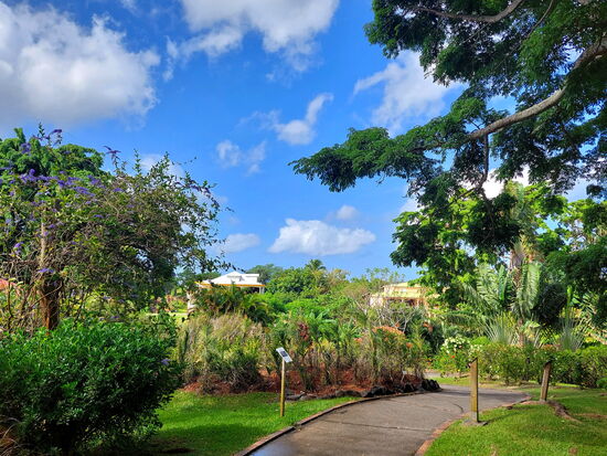 Im Botanischen Garten