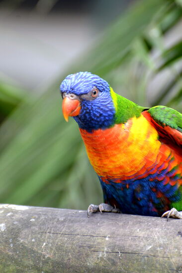 Lori im Jardin