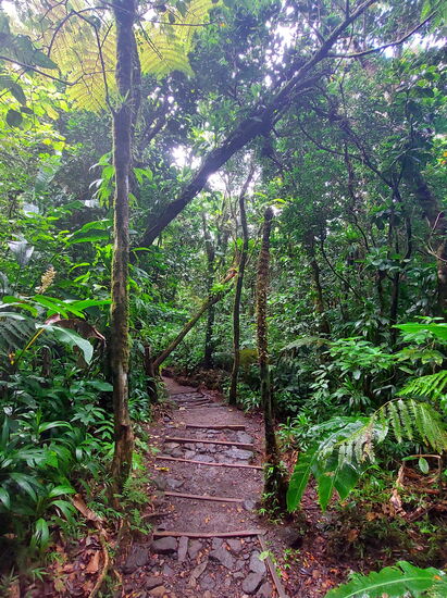"Damenweg" zum Vulkan